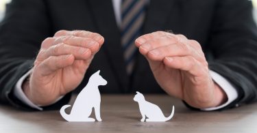 Assurance Animaux